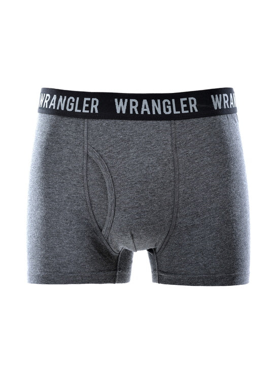 MENS DAN TRUNK TWIN-PACK - Multi - Size M