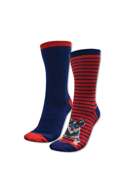 HOMESTEAD SOCKS - TWIN PACK - Purple/Turquoise (Collie - Size 2 to 7
