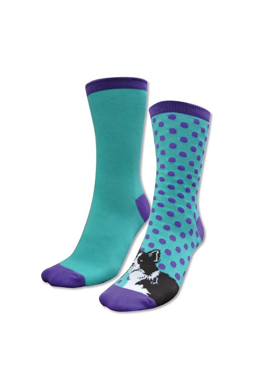 HOMESTEAD SOCKS - TWIN PACK - Navy/Red (Blue Heeler) - Size 2 to 7