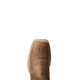 Ariat Wms Primetime Tack Room Brown - View 5