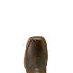 Ariat Mns Captivate Dark Brown / Peanut Butter - View 8