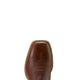 Ariat Mns Dakota Venttek Beasty Brown / Brown Bomber - View 5